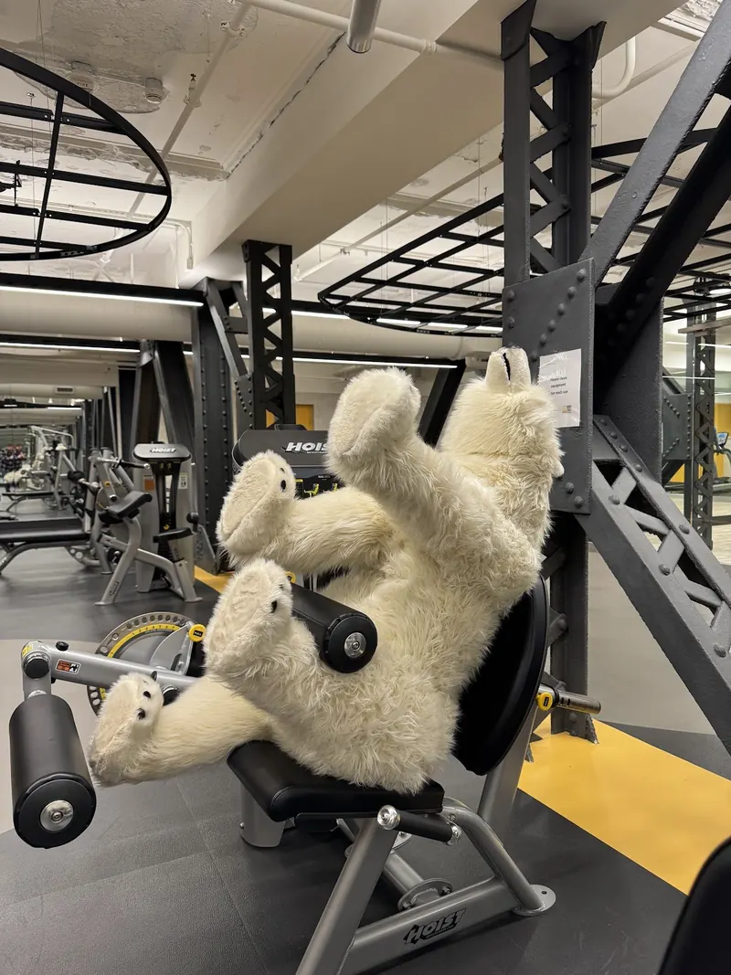 Plush polar bear on a leg-extension machine in the Union Trust Building gym for National Polar Bear Day